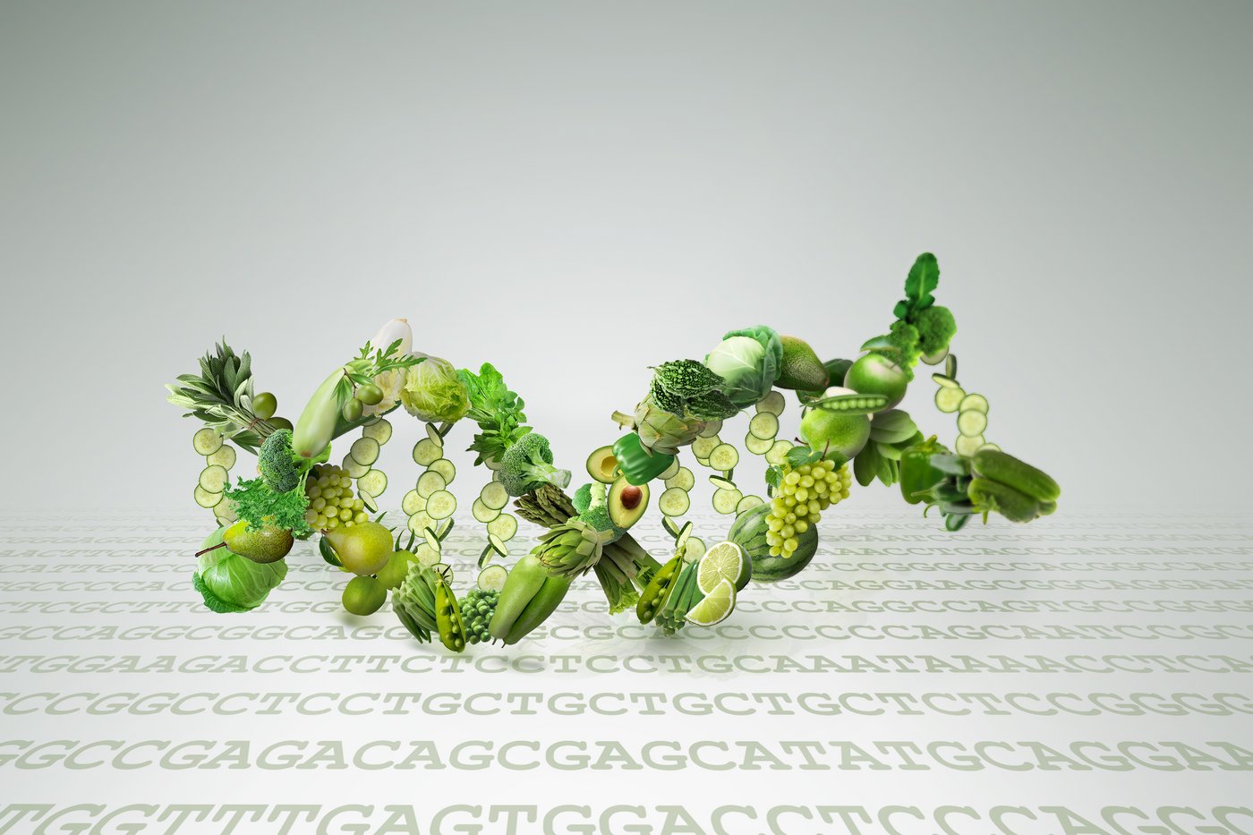 Grüne Gentechnik CRISPR